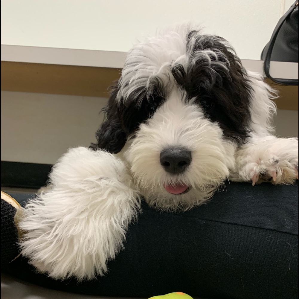 Meet your Posher, Jon